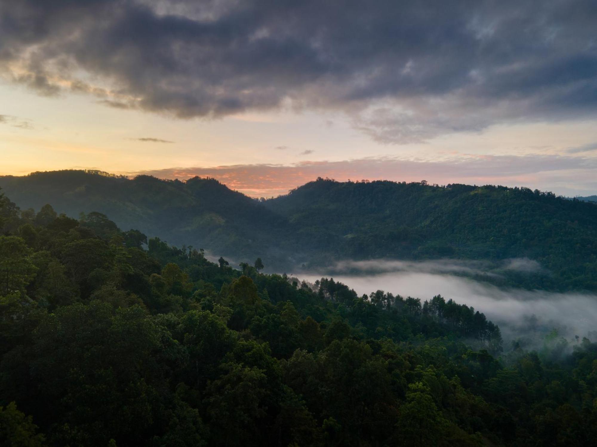 Mount Havana Kandy Eksteriør bilde