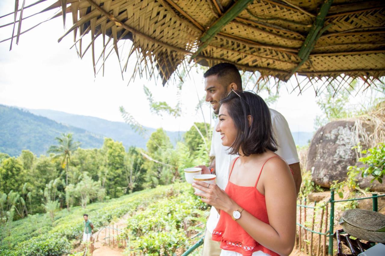 Mount Havana Kandy Eksteriør bilde